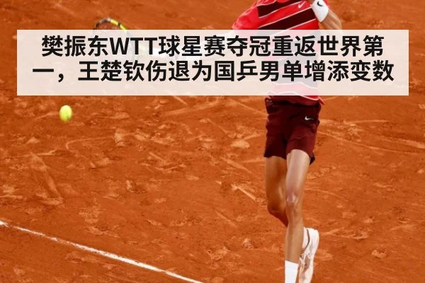 樊振东WTT球星赛夺冠重返世界第一,王楚钦伤退为国乒男单增添变数